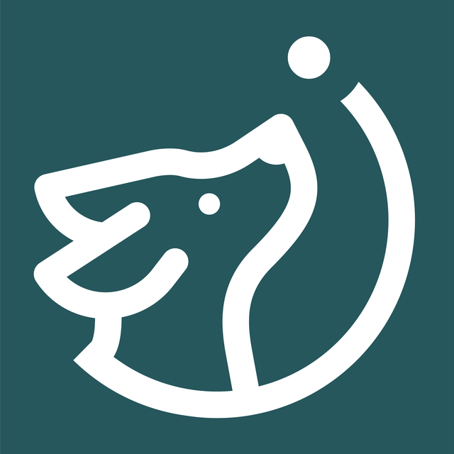 Companion Labs identity