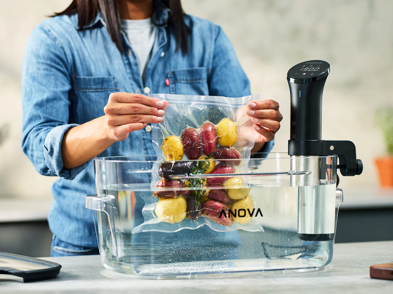 The Anova Precision Cooker — sous vide for the home kitchen.