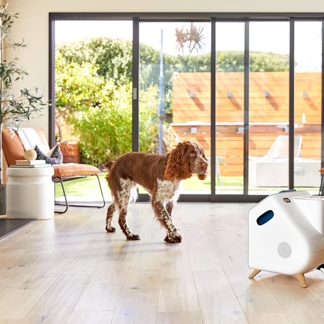 CompanionPro — the AI trainer in-home